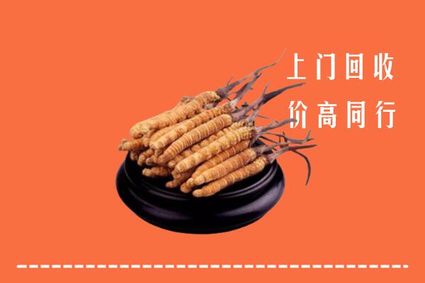 高价求购：兰州市回收散虫草