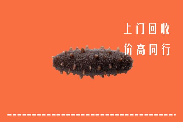 高价求购：兰州市回收海参