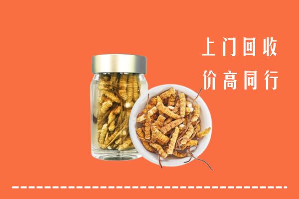 兰州市回收冬虫夏草